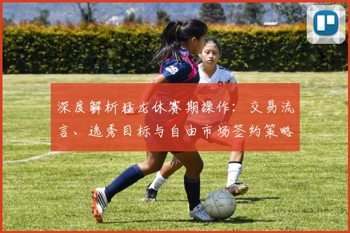 深度解析猛龙休赛期操作：交易流言、选秀目标与自由市场签约策略全指南
