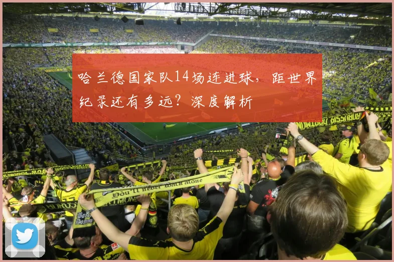 哈兰德国家队14场连进球,距世界纪录还有多远?深度解析